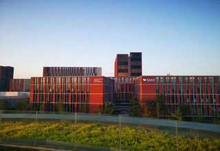 广州出口货物运输代理要求