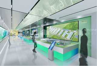 人参菜标签多少钱